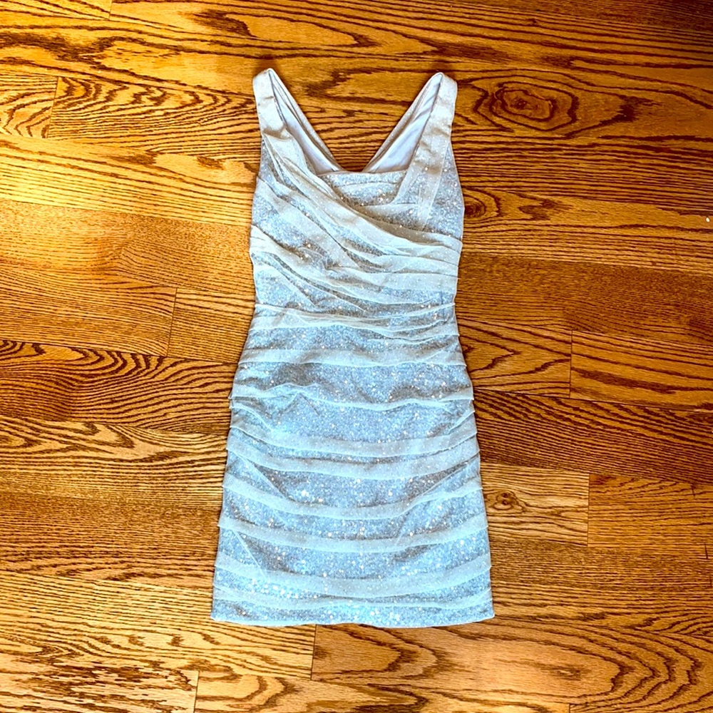 Express Silver Sequin Dress